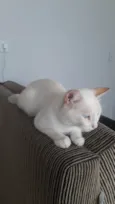 Nick