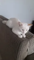 Nick