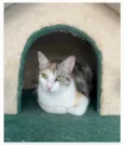 PENÉLOPE