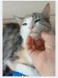 PENÉLOPE