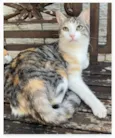 PENÉLOPE