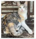 PENÉLOPE