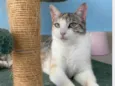 PENÉLOPE