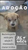 Bernardo