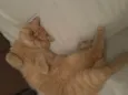 Lili