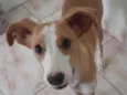 Matilde