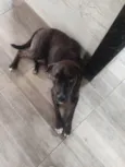 Aika