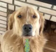 Teo 
