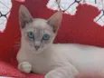 Iana