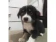 Lila