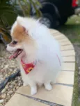 Mel