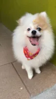 Mel