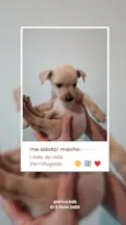 Menino, Menino e Menina