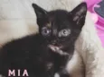 M I A (Bebê)