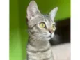 Tina