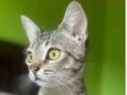 Tina
