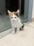Marilyn