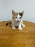 Marilyn
