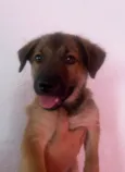 Boby