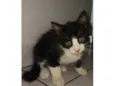 jolão