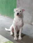 Blanco