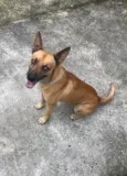 TJ