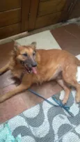 PÉROLA