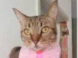NALA