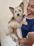 Lobinha