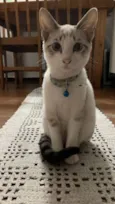 Kiki