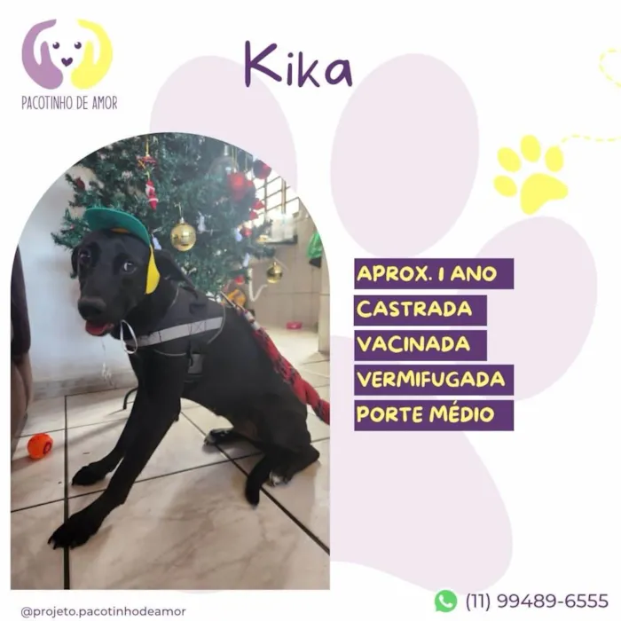 Cachorro ra a SRD-ViraLata idade 1 ano nome Kika