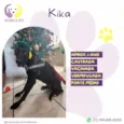 Kika