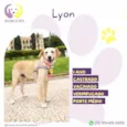 Lyon