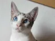 Kiki