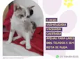 Elba