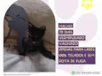 Tiny