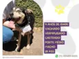 Zeca