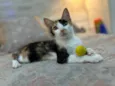 Lola