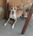 Candoca