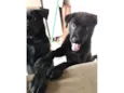 PANTERA e BETTOWEN