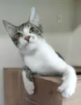 RITINHA