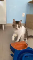 RITINHA