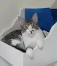 RITINHA