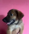 Boby