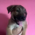Boby
