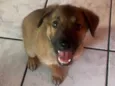 Boby