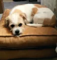 LUPITA