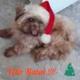 NICK