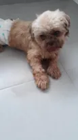 NICK