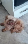 NICK